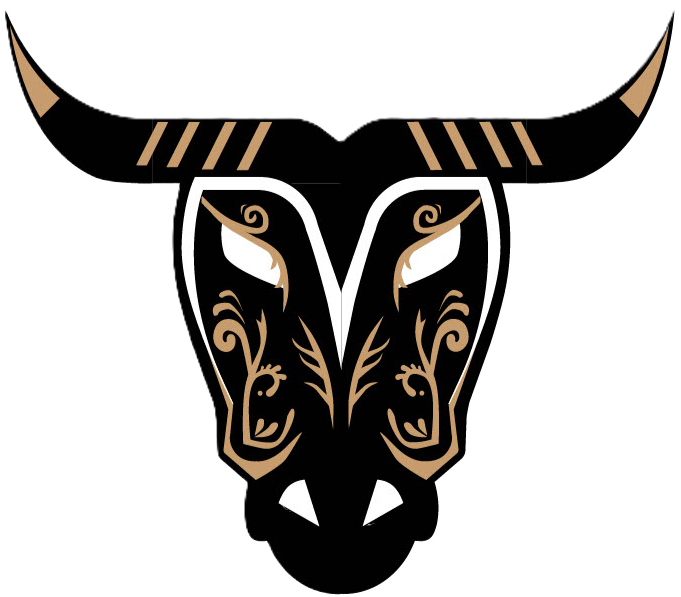 Matador logo